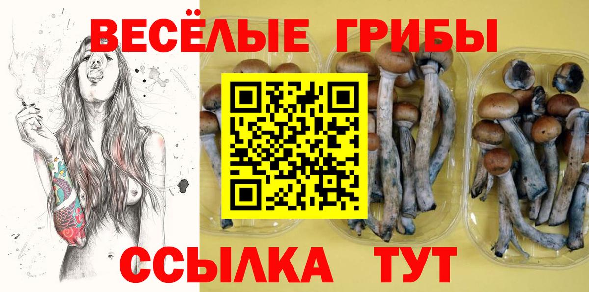 Галлюциногенные грибы ЛСД Соликамск