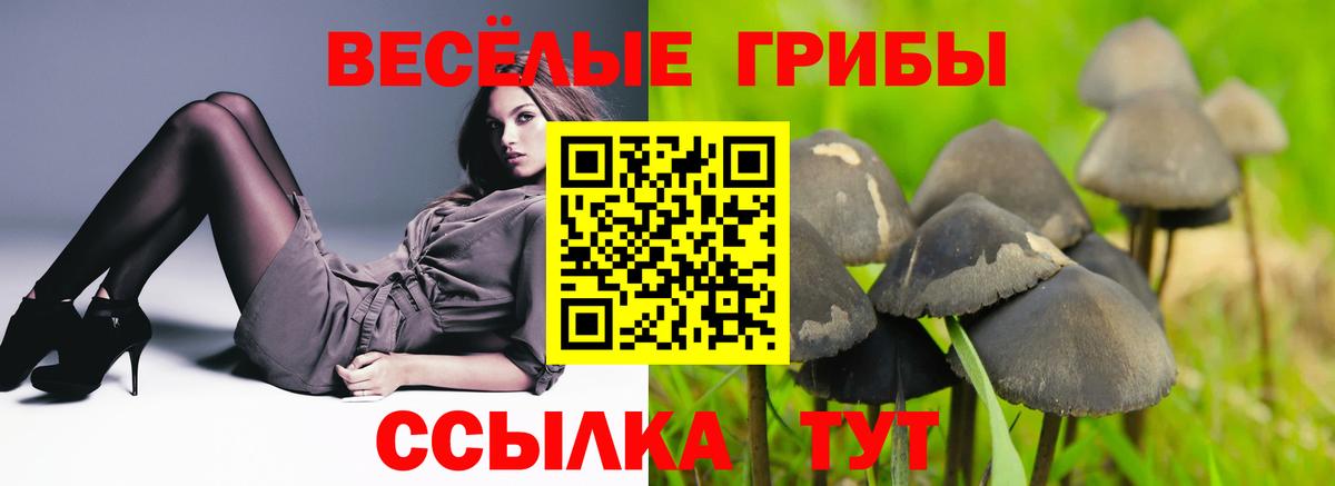 Галлюциногенные грибы GOLDEN TEACHER  Галлюциногенные грибы Cubensis  Соликамск  Вход с VPN 